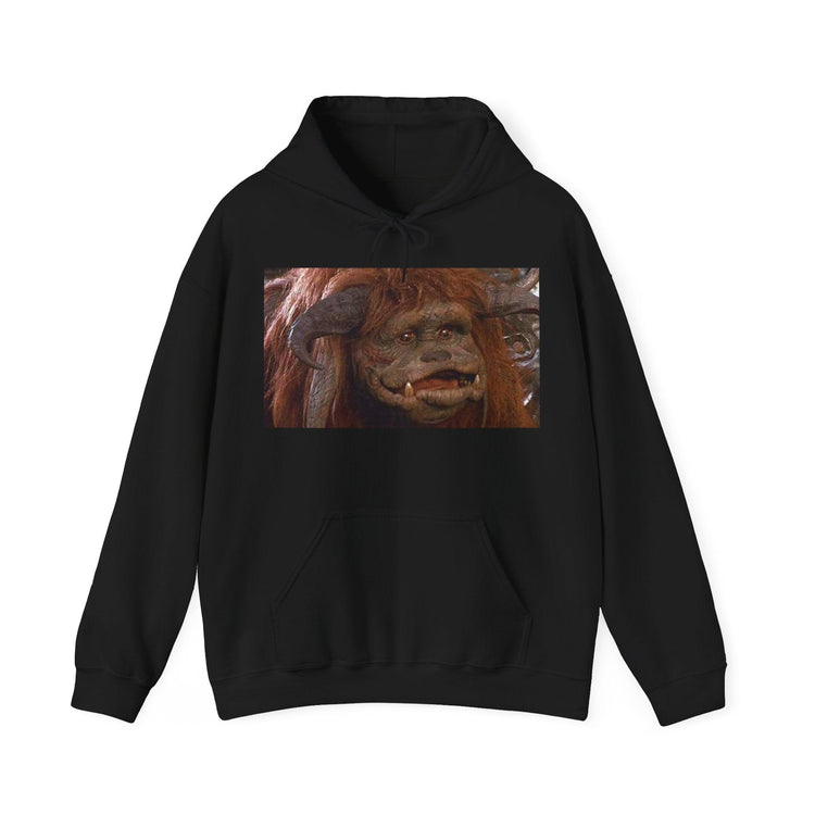 Unisex Hoodies - KALO 506
