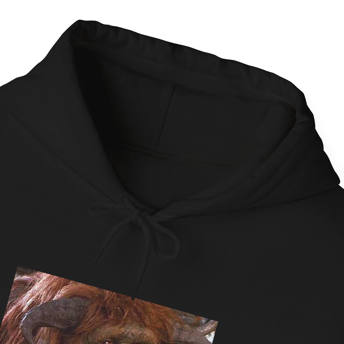 Ludo - Labrynth Graphic - Hooded Sweatshirt-Threads from the Crypt
