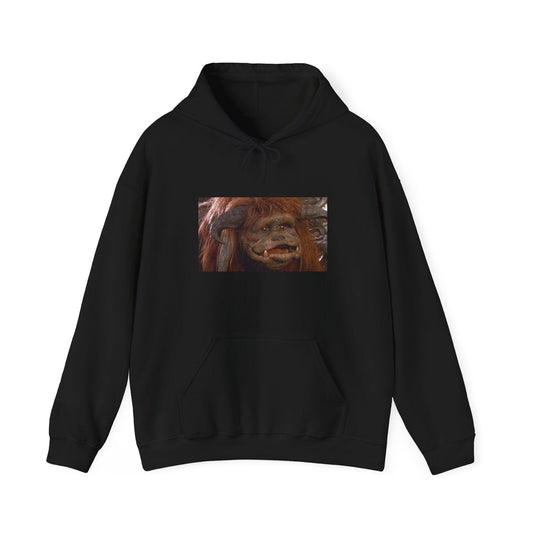 Ludo - Labrynth Graphic - Hooded Sweatshirt-Threads from the Crypt